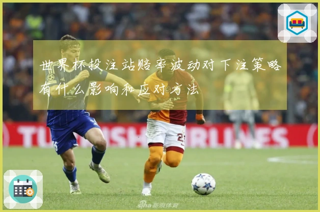 世界杯投注站赔率波动对下注策略有什么影响和应对方法