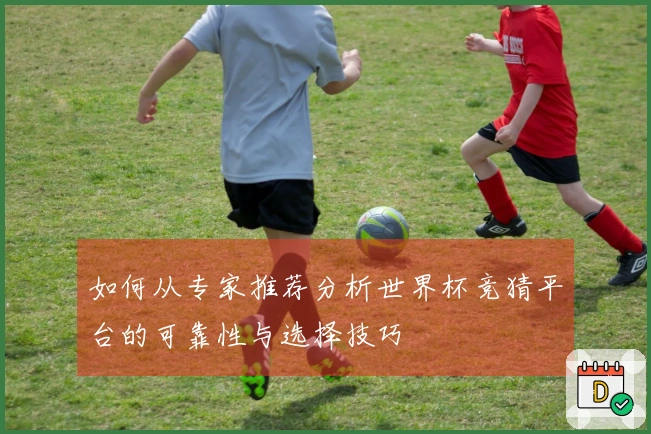 如何从专家推荐分析世界杯竞猜平台的可靠性与选择技巧