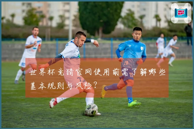 世界杯竞猜官网使用前需了解哪些基本规则与风险？