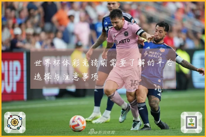 世界杯体彩竞猜前需要了解的平台选择与注意事项