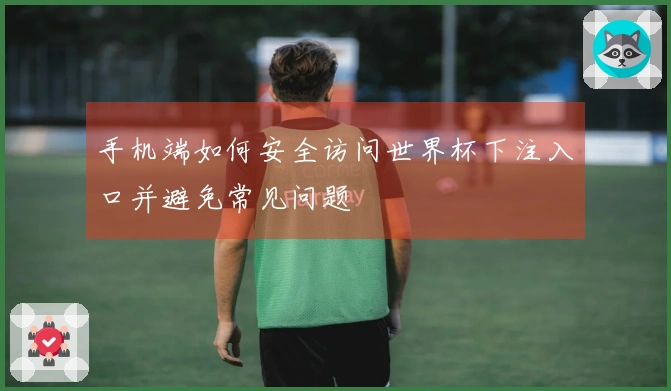 手机端如何安全访问世界杯下注入口并避免常见问题