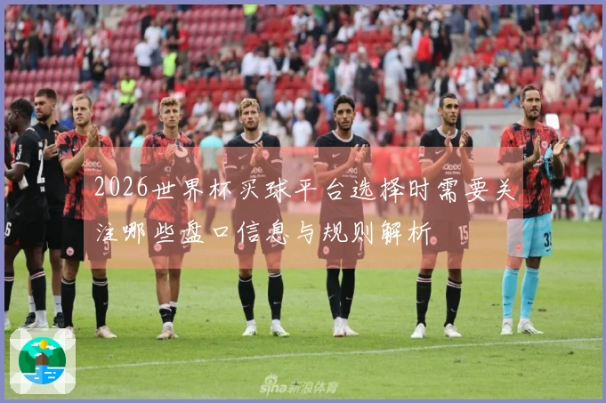 2026世界杯买球平台选择时需要关注哪些盘口信息与规则解析