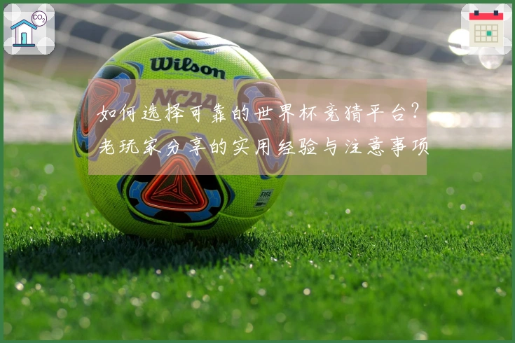 如何选择可靠的世界杯竞猜平台？老玩家分享的实用经验与注意事项
