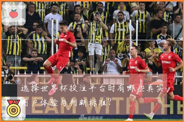 选择世界杯投注平台时有哪些真实用户体验与判断标准？