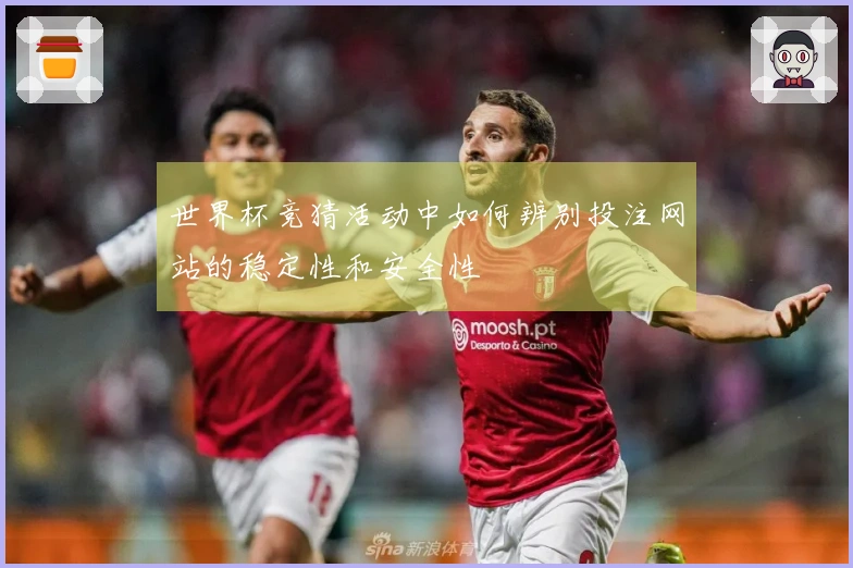 世界杯竞猜活动中如何辨别投注网站的稳定性和安全性