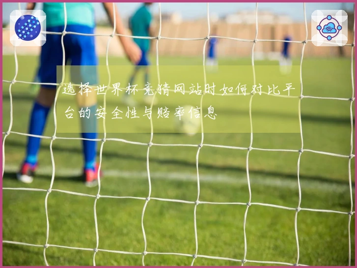 选择世界杯竞猜网站时如何对比平台的安全性与赔率信息