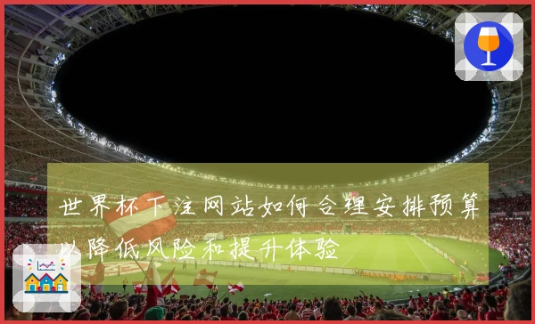 世界杯下注网站如何合理安排预算以降低风险和提升体验