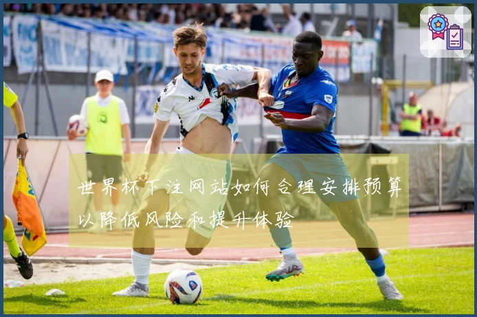 世界杯下注网站如何合理安排预算以降低风险和提升体验