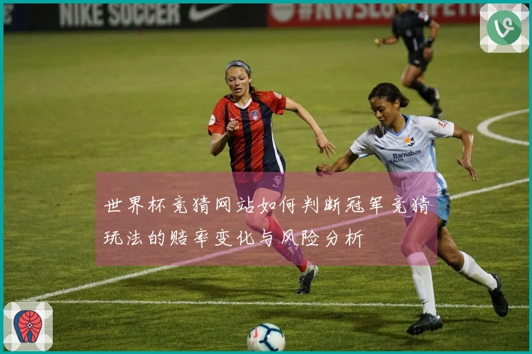 世界杯竞猜网站如何判断冠军竞猜玩法的赔率变化与风险分析