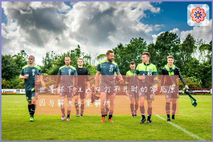 世界杯下注入口打不开时的常见原因与解决方案解析