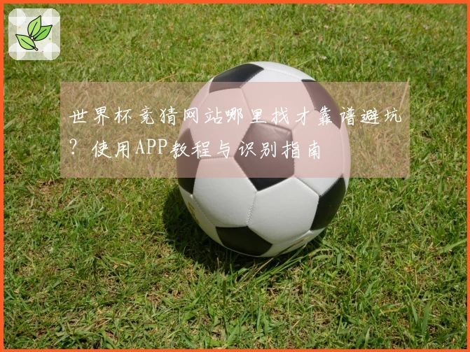 世界杯竞猜网站哪里找才靠谱避坑?使用APP教程与识别指南