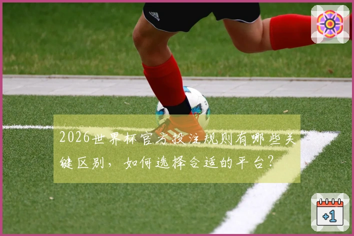 2026世界杯官方投注规则有哪些关键区别，如何选择合适的平台？