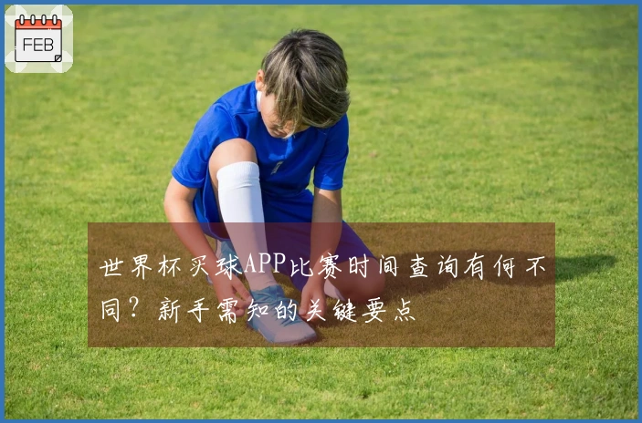 世界杯买球APP比赛时间查询有何不同？新手需知的关键要点