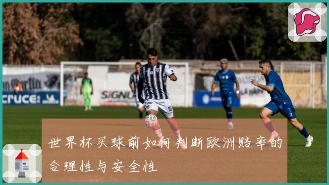 世界杯买球前如何判断欧洲赔率的合理性与安全性